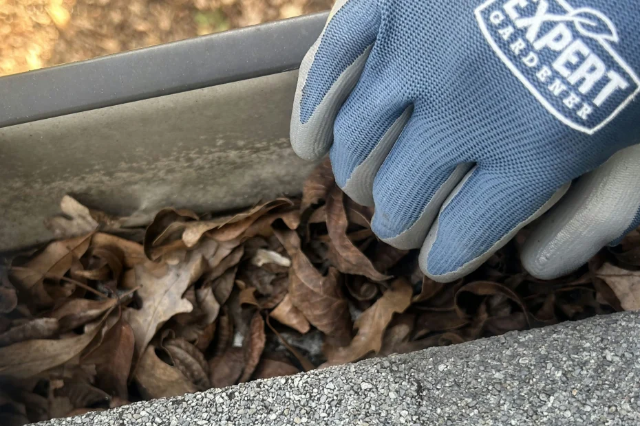 Zephyrhills Gutter Cleaning