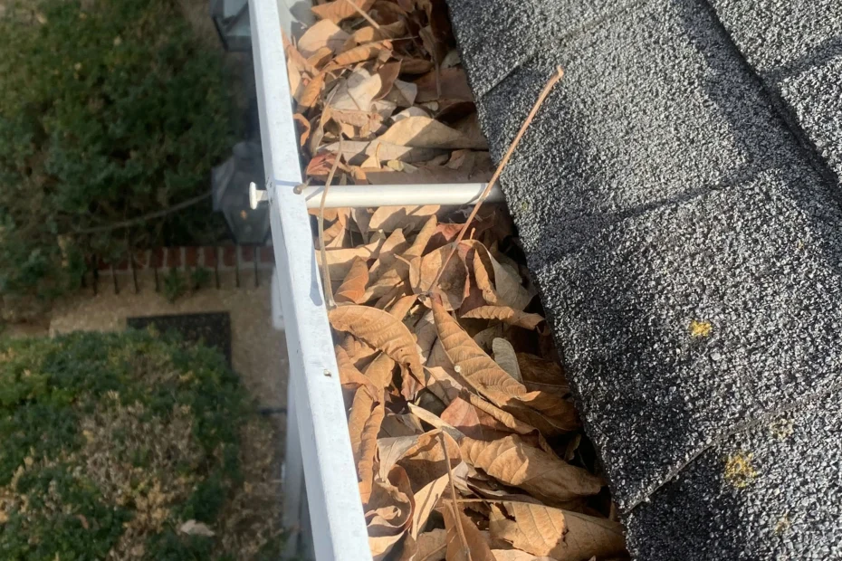 Zephyrhills Gutter Cleaning