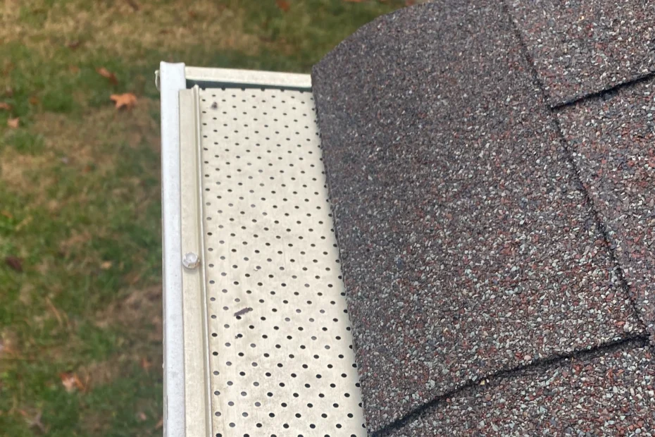 Zephyrhills Gutter Cleaning