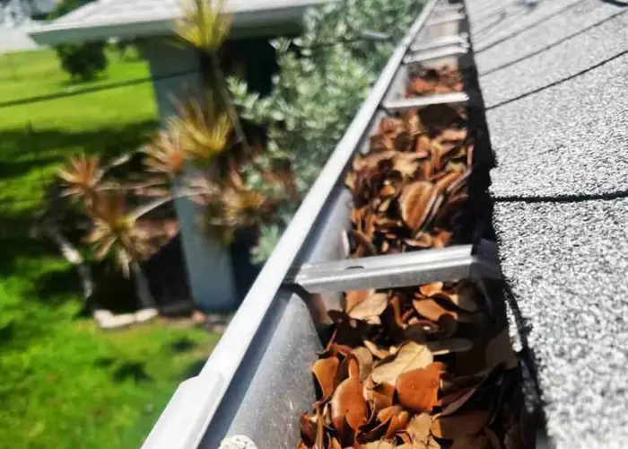 Gutter Cleaning Zephyrhills FL home page